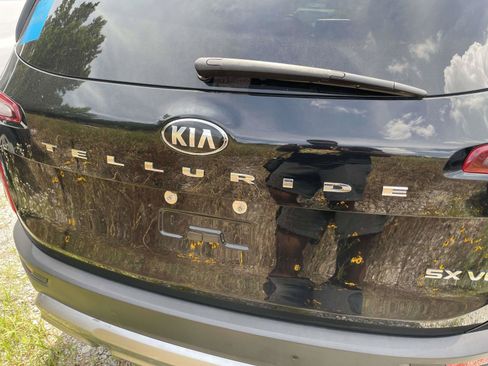 Used 2021 Kia Telluride SX FWD image 10
