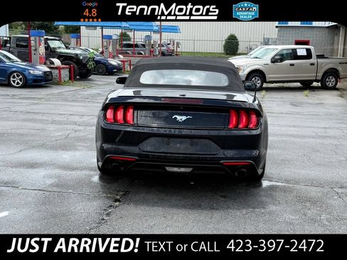 Used 2018 Ford Mustang Premium w/ Equipment Group 201A RWD image 8