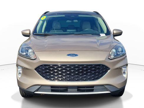 Used 2020 Ford Escape SEL AWD/4WD image 2