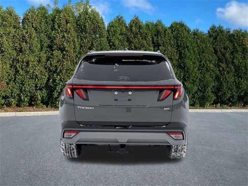 Certified 2025 Hyundai Tucson Limited image 7