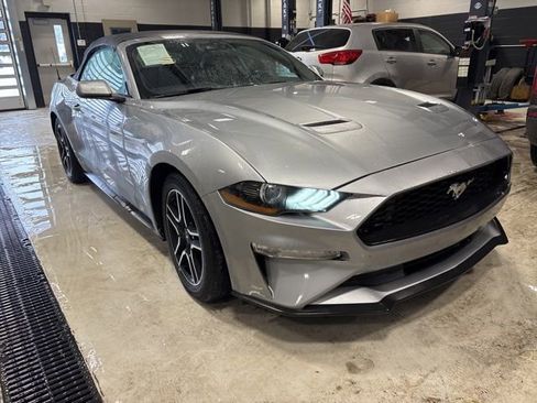 Used 2023 Ford Mustang Premium image 3