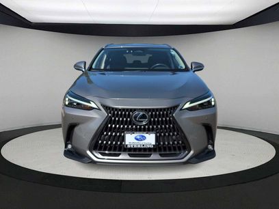 Used 2025 Lexus NX 350h AWD w/ Accessory Package (2T)