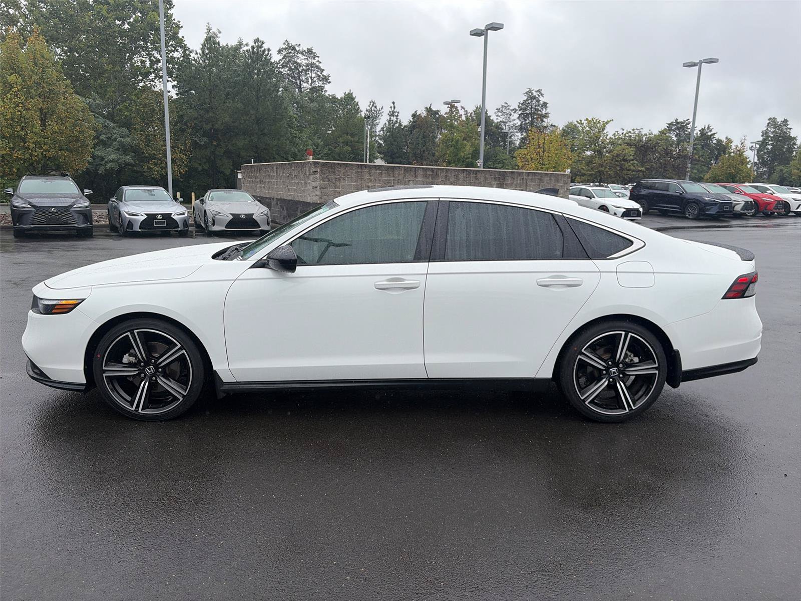 Certified 2024 Honda Accord Sport image 4