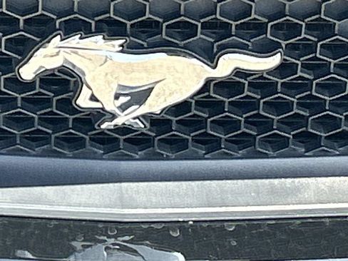 Used 2015 Ford Mustang GT Premium w/ Equipment Group 401A RWD image 12