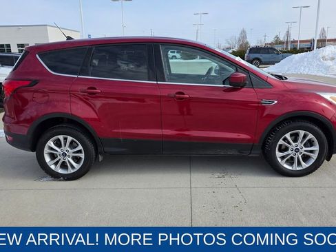 Used 2019 Ford Escape SE image 6