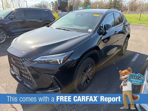 Used 2023 Lexus NX 350 AWD w/ Cold Area Package image 2