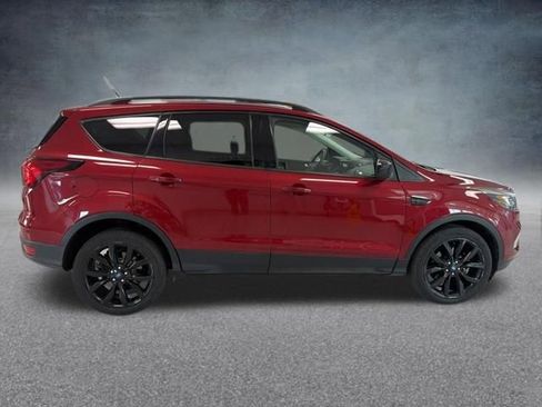 Used 2019 Ford Escape SE AWD/4WD image 5