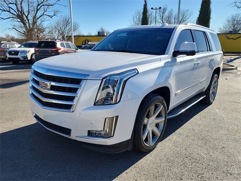 Used 2016 Cadillac Escalade Luxury image 8