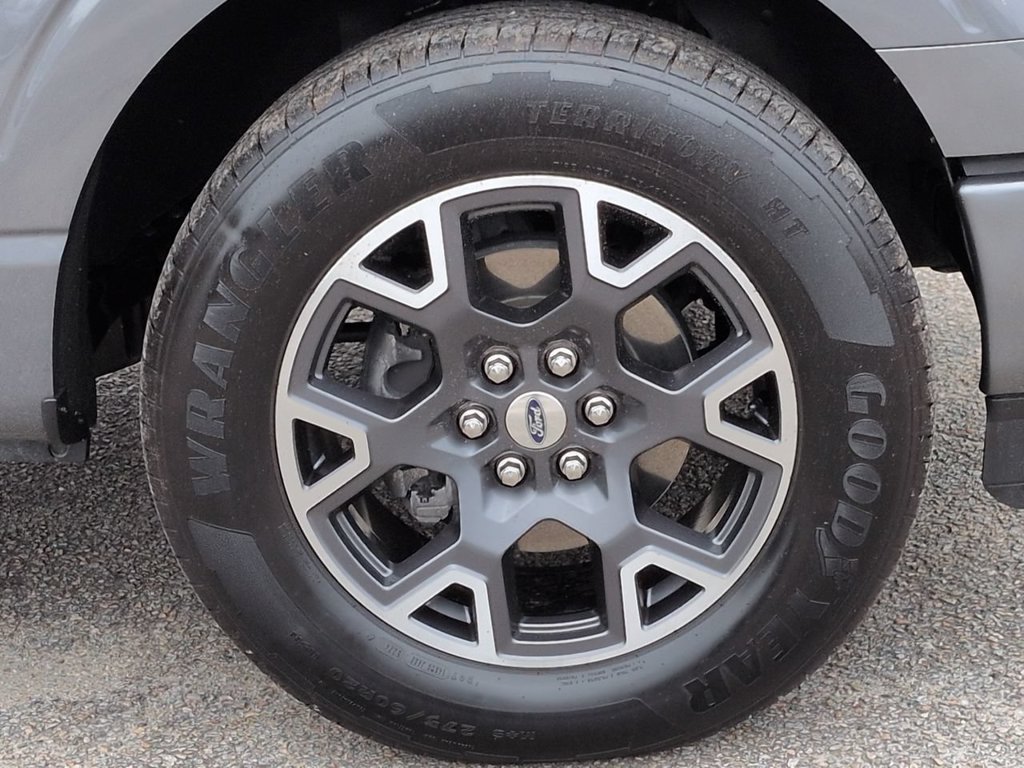 Used 2025 Ford F150 STX w/ Equipment Group 200A RWD image 11