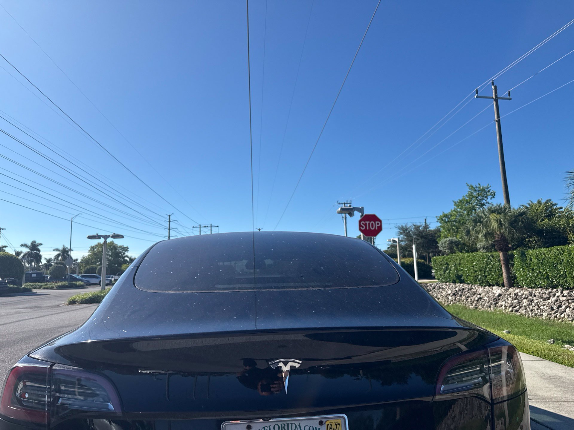 Used 2021 Tesla Model 3 Standard Range Plus RWD image 10