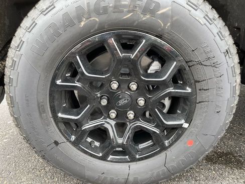 New 2026 Ford F150 XLT w/ XLT Black Appearance Package image 6