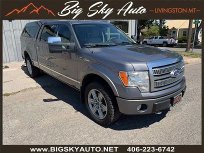 Used 2010 Ford F150 Platinum