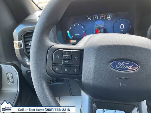 New 2025 Ford F150 STX w/ Equipment Group 200A image 20