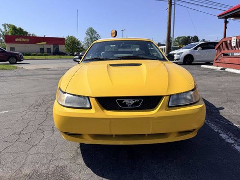 Used 1999 Ford Mustang Convertible RWD image 2