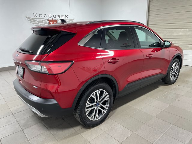 Used 2020 Ford Escape SEL AWD/4WD image 6