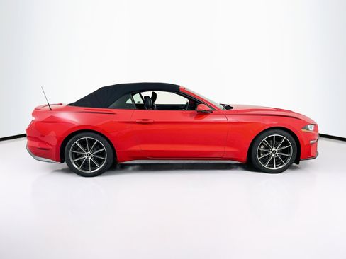 Used 2019 Ford Mustang Premium w/ Equipment Group 201A RWD image 4