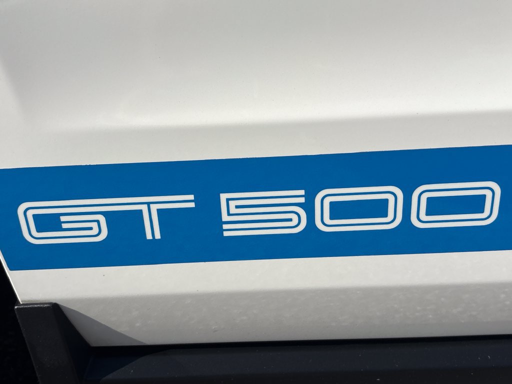Used 2010 Ford Mustang Shelby GT500 RWD image 23