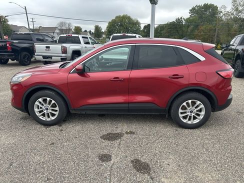 Used 2020 Ford Escape SE image 4