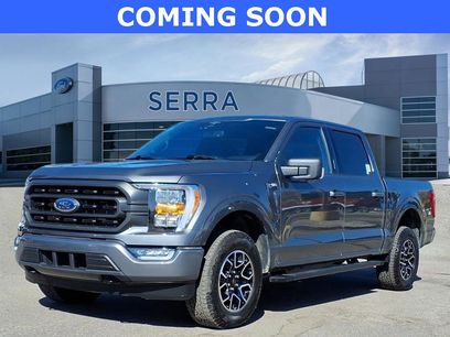 Used 2023 Ford F150 XLT w/ Equipment Group 302A High