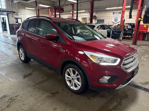 Used 2019 Ford Escape SEL FWD image 4