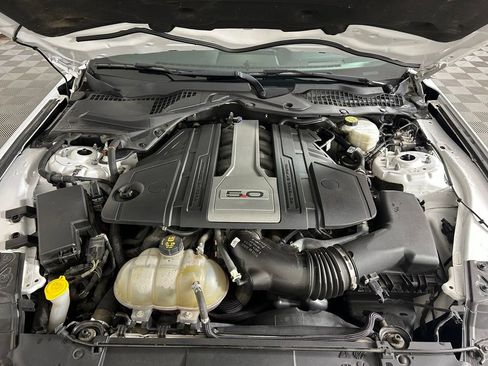Used 2019 Ford Mustang GT w/ Equipment Group 301A RWD image 19