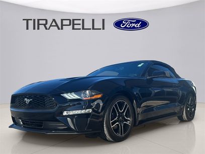 Certified 2019 Ford Mustang Premium