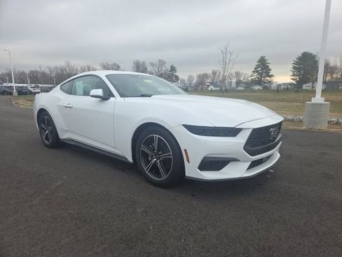 Used 2025 Ford Mustang Premium RWD image 1