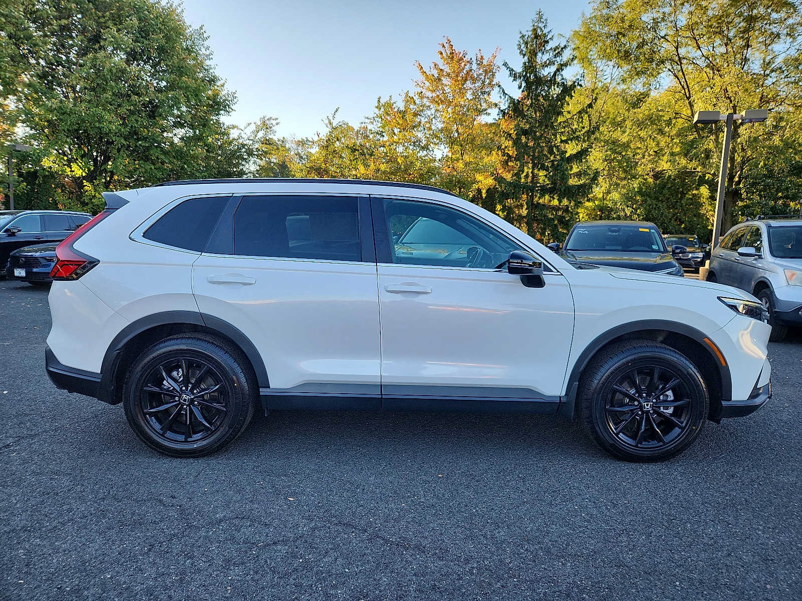 Used 2024 Honda CR-V Sport image 7