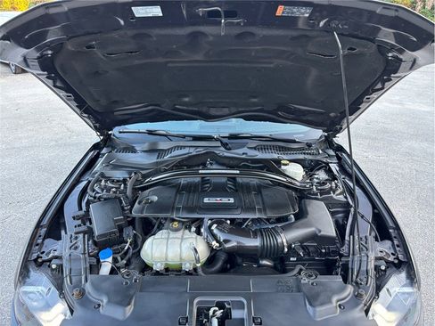 Used 2023 Ford Mustang GT Premium w/ Equipment Group 401A image 47