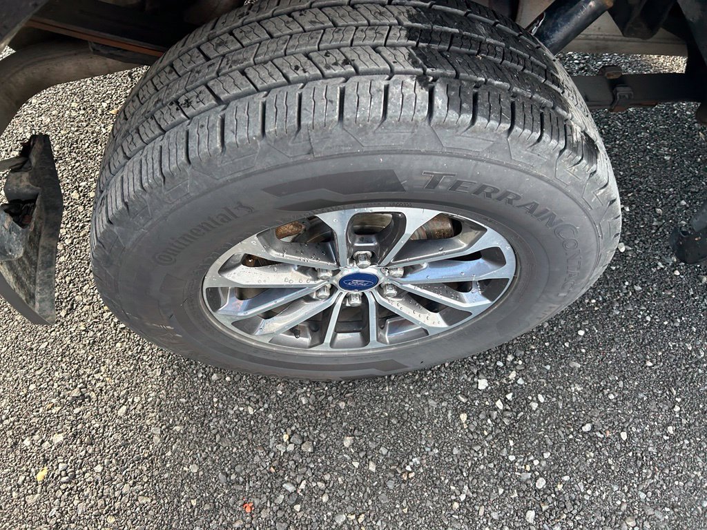 Used 2019 Ford F150 XLT w/ Equipment Group 302A Luxury AWD/4WD image 11