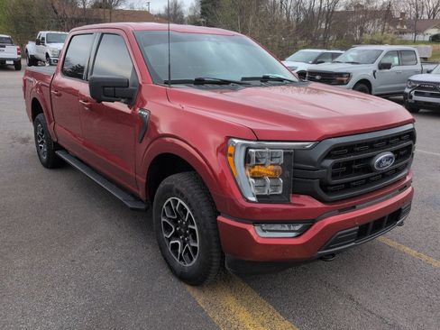 Certified 2023 Ford F150 XLT w/ Equipment Group 302A High image 2