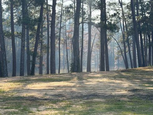 Used 2023 Toyota 4Runner SR5 Premium image 17