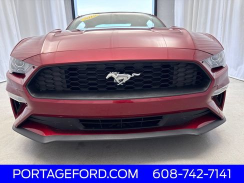 Used 2019 Ford Mustang Coupe RWD image 32
