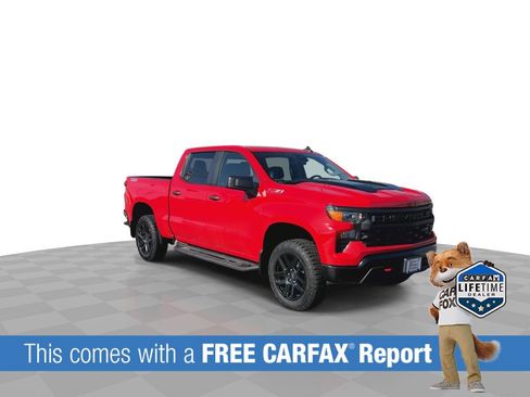 Used 2024 Chevrolet Silverado 1500 Custom Trail Boss image 2
