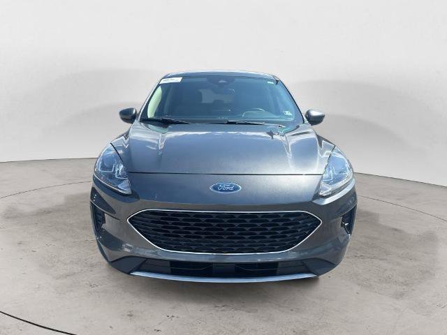 Certified 2020 Ford Escape SE AWD/4WD image 2