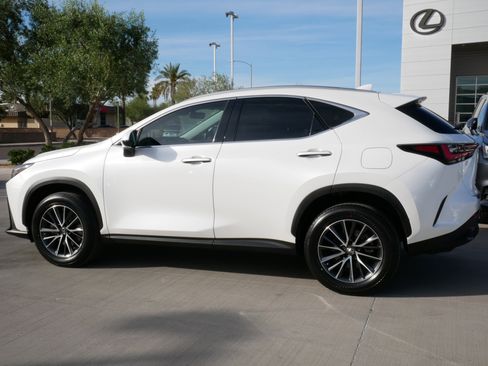 Used 2024 Lexus NX 350 AWD w/ Cold Area Package image 5