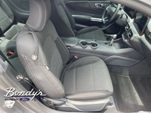 Used 2025 Ford Mustang Coupe w/ Mustang Nite Pony Package RWD image 18