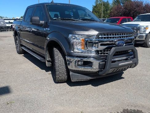 Used 2019 Ford F150 XLT w/ Equipment Group 302A Luxury AWD/4WD image 10