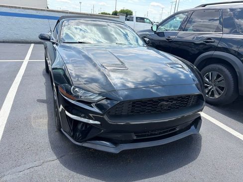 Used 2020 Ford Mustang Premium RWD image 5