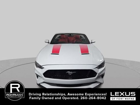 Used 2019 Ford Mustang GT Premium w/ Equipment Group 401A RWD image 3