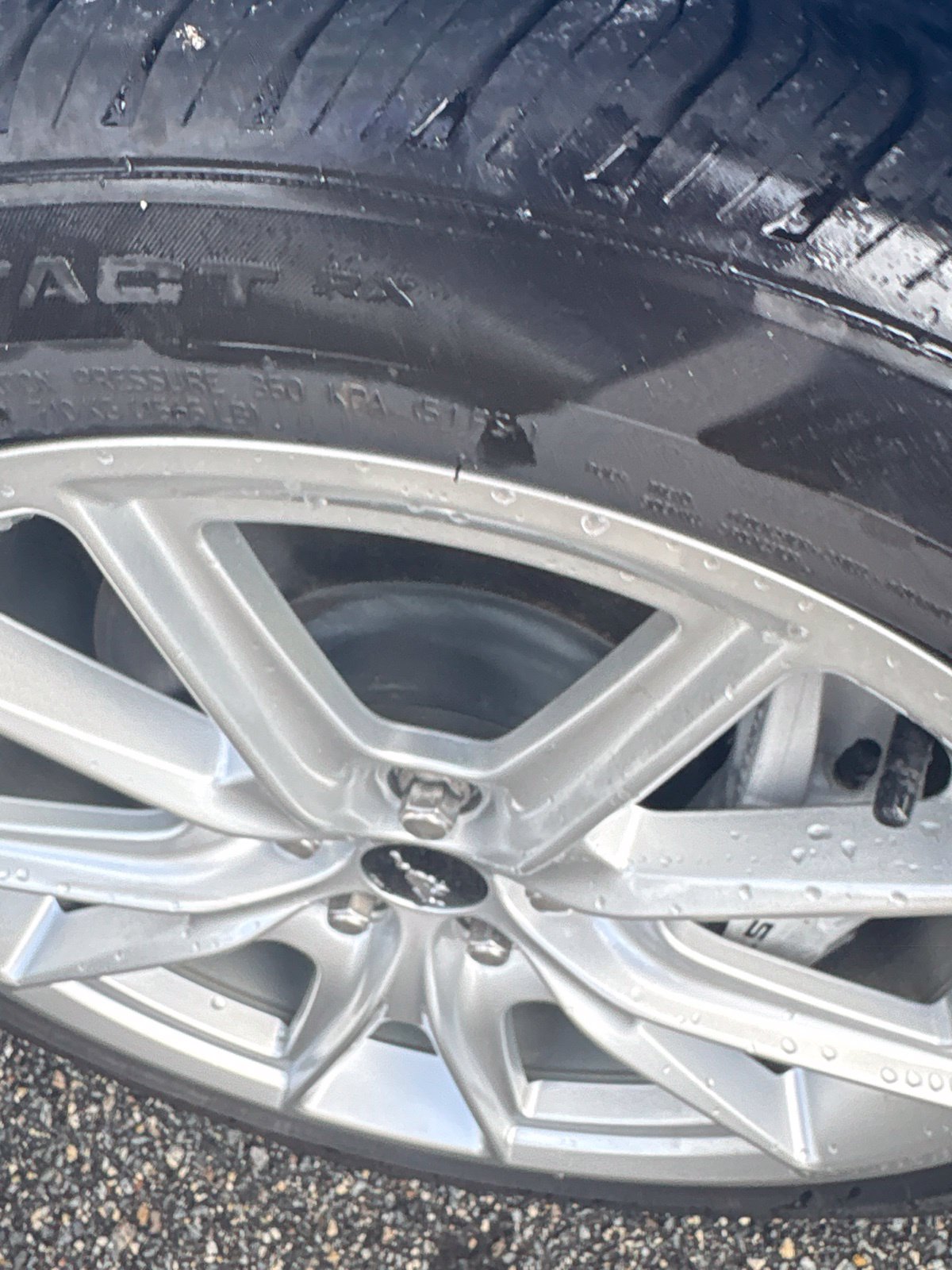 Used 2024 Ford Mustang GT RWD image 12
