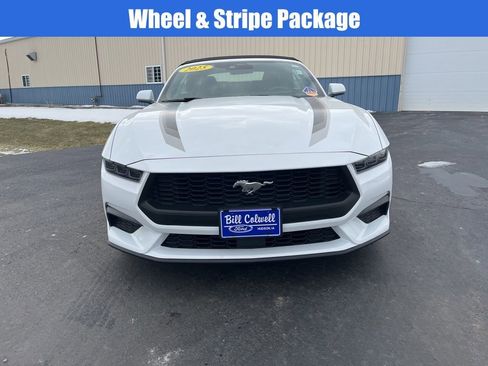 Used 2025 Ford Mustang Premium w/ Wheel & Stripe Package image 9