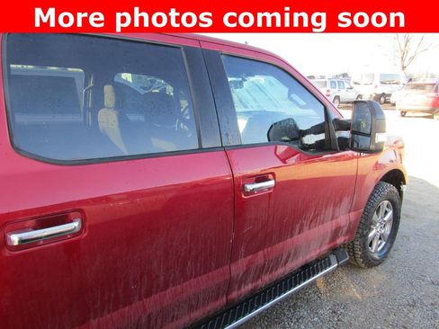 Used 2019 Ford F150 XLT w/ Equipment Group 302A Luxury image 6