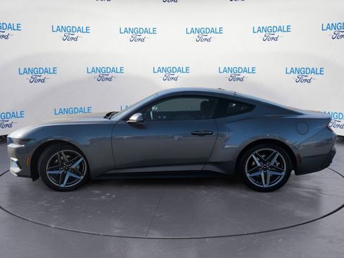 New 2026 Ford Mustang Coupe image 10