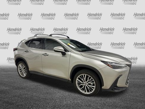 Used 2023 Lexus NX 350 AWD w/ Cold Area Package image 2