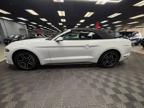 Used 2023 Ford Mustang Premium RWD image 16