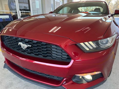 Used 2017 Ford Mustang Premium image 2