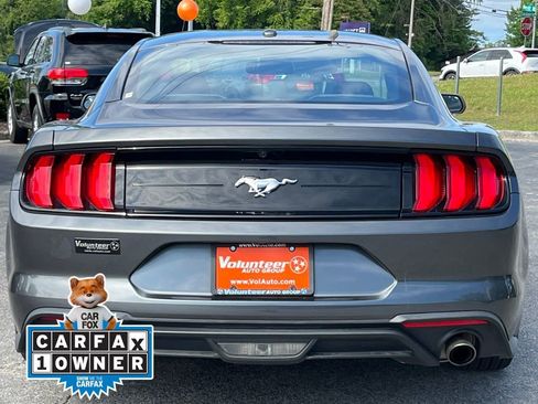 Used 2019 Ford Mustang Coupe RWD image 5