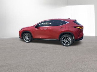 Used 2022 Lexus NX 300h AWD w/ Vision Package