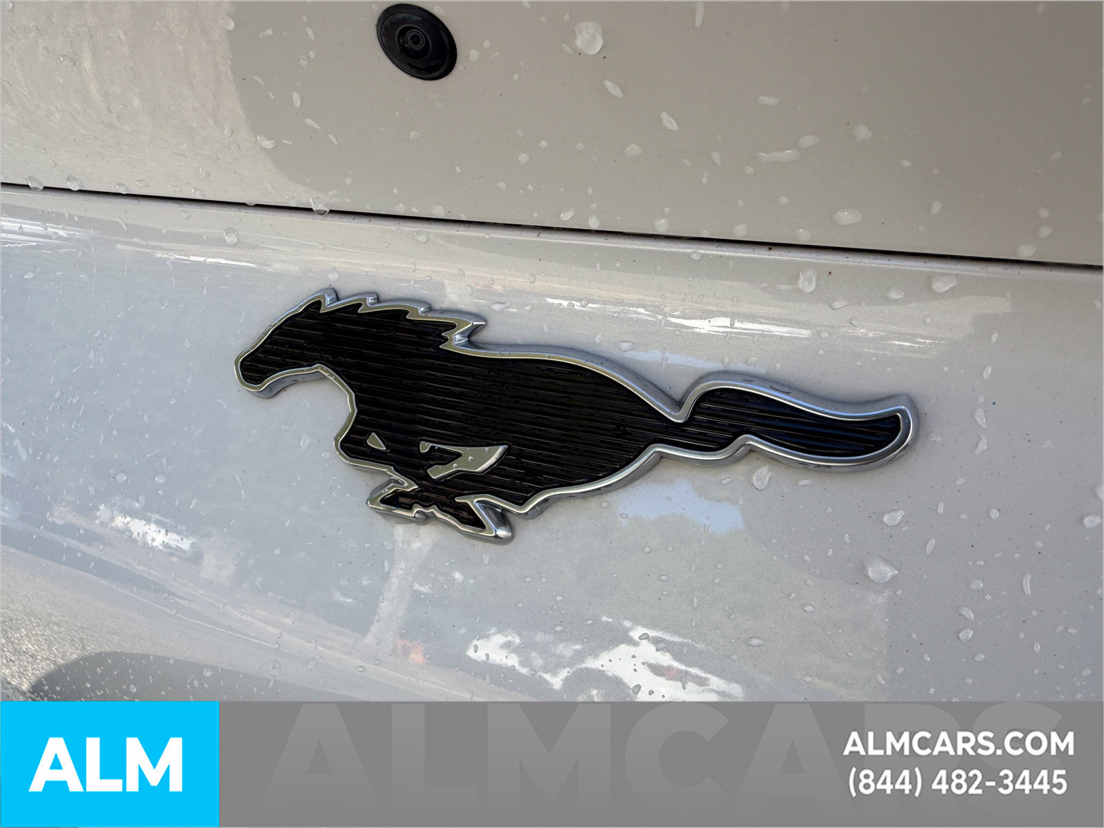 Used 2024 Ford Mustang Mach-E Premium RWD image 8